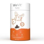 WePharm WeVit Tasty 30 ks - multivitamín a minerály – Hledejceny.cz