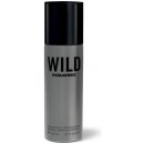 Dsquared2 Wild Men deospray 100 ml