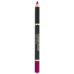 Golden rose lipliner tužka na rty 221 1 g – Zboží Mobilmania