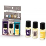 Estéban Paris Parfums sada 3 aroma olejů Fíky + Cedr + Ylang Yland 3 x 15 ml – Hledejceny.cz