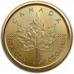 Royal Canadian Mint Maple Leaf zlatá mince 1/10 oz – Hledejceny.cz