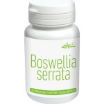 Activ Star Boswellia serrata 60 vegan kapsul – Hledejceny.cz