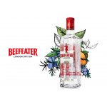 Beefeater Gin 40% 0,7 l (dárkové balení 1 sklenice) – Zboží Mobilmania