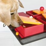 Trixie Dog Activity Poker Box 31 x 10 x 31 cm – Zbozi.Blesk.cz