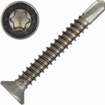 Šroub samovrtný DIN 7504P nerez A2 4,2x19 Torx – Hledejceny.cz
