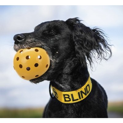Trixie Děrovaný gumový míček s rolničkou pro slepé pejsky 7 cm