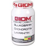Giom Chondro L-karnitin Forte 60 tbl – Hledejceny.cz