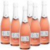 Ostatní lihovina Canella Bellini cocktail bílá broskev 5 % 6 x 0,75 l (karton)