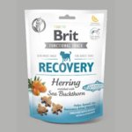 Brit snack Recovery herring & sea buckthorn 150 g – Zboží Dáma Brit snack Recovery herring & sea buckthorn 150 g – Zboží Dáma