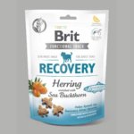 Brit snack Recovery herring & sea buckthorn 150 g – Zboží Mobilmania