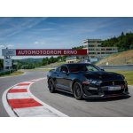 Jízda ve Ford Mustang GT 5.0 V8 na Masarykově okruhu – Hledejceny.cz