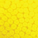 Pebeo Efektová barva Fantasy Prisme 45 ml Fluorescent Yellow – Hledejceny.cz