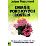 Energie pokojových rostlin – Hledejceny.cz