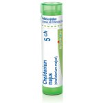 CHELIDONIUM MAJUS POR 5CH GRA 1X4G – Hledejceny.cz