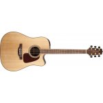 Takamine GD93CE Natural – Zboží Mobilmania