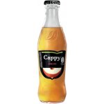 Cappy Jablko 100% sklo 24 x 250 ml – Sleviste.cz