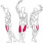 BH Fitness LEG Extension L010 – Sleviste.cz