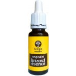 Bachovy esence Krizová esence 20 ml – Hledejceny.cz