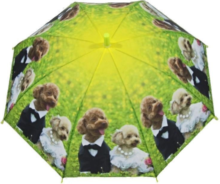 Staňte se úryvek Vnější skládací deštníky štěne Hrát si s Mírný Obojživelný