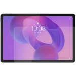 Lenovo Idea Tab Screen Protector-WW ZG38C07003 – Zboží Živě