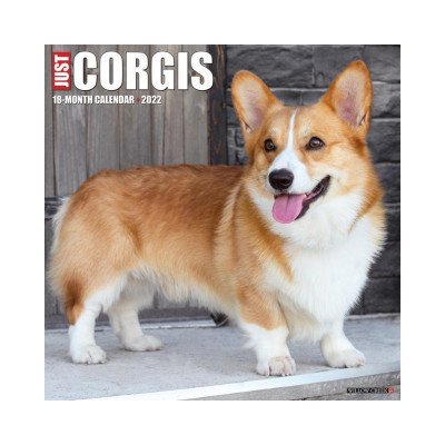 Vyhledavani Heureka Cz