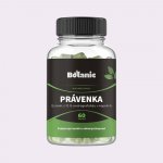 Botanic Právenka latnatá extrakt s 10% Andrographolide 60 kapslí – Hledejceny.cz