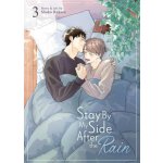 Stay By My Side After the Rain Vol. 3 - Shoko Rakuta – Sleviste.cz