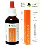 Salvia Veterinary Lichořeřišnice bylinné kapky tinktura 50 ml – Hledejceny.cz