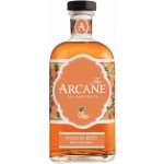Arcane Ananas 40% 0,7 l (holá láhev) – Zboží Dáma