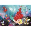 CLEMENTONI Disney princezny: Malá mořská víla MAXI 24 dílků