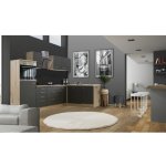 Flex Well Rohová kuchyňská linka se spotřebiči Tiago 280x170 cm barva čela čedičová šedá matná barva korpusu san remo dub světlá – Zboží Dáma