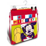 Euroswan a přezůvky Mickey color Polyester – Zboží Dáma
