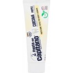 Pasta del Capitano s kurkumou a propolisem 75 ml – Hledejceny.cz