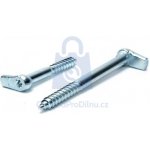 Skoba s Torx drážkou, pozinkovaná délka 50 mm - hobby balení, balení 1 ks – Zbozi.Blesk.cz