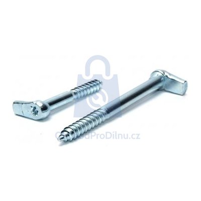 Skoba s Torx drážkou, pozinkovaná délka 50 mm - hobby balení, balení 1 ks – Zbozi.Blesk.cz