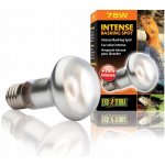 Hagen ExoTerra Day Glo Tight Beam 75 W – Zboží Dáma