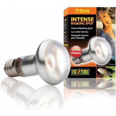 Hagen ExoTerra Day Glo Tight Beam 75 W – Zboží Dáma