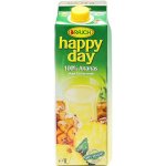 Rauch Happy Day ananas 100% 1 l – Hledejceny.cz