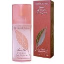 Elizabeth Arden Green Tea Spiced parfémovaná voda dámská 100 ml tester