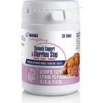 Gigi Stomach Support & Diarrhea Stop 30 tbl – Hledejceny.cz