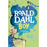 Boy: Tales of Childhood - Roald Dahl, Quentin Blake - Paperback – Zbozi.Blesk.cz