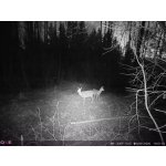 OXE Panther 4G – Zboží Živě