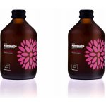 Vigo Kombucha mango a maracuja bio 330 ml – Zboží Dáma