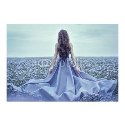 Weblux 70223866 Fototapeta papír Back view of standing young woman in blue dress Zadní pohled na stojící mladá žena v modrých šatech rozměry 184 x 128 cm