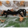 Karnevalový kostým Pavouk 60 cm