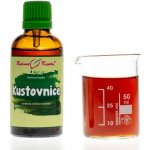 Bylinné kapky Kustovnice goji TCM tinktura 50 ml – Hledejceny.cz