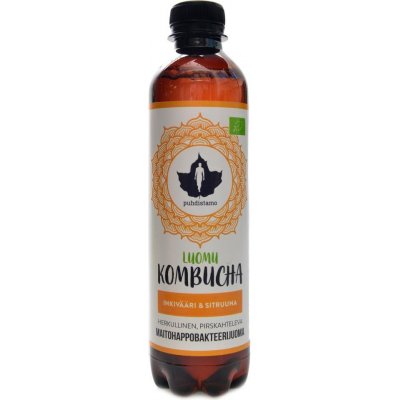 Puhdistamo Kombucha BIO 370 ml ginger lemon Bio Kombucha zázvor-citrón