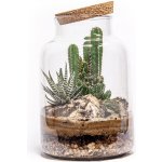 Gardners Skleněná dóza Helenium s korkovým špuntem, 17x27 cm - osázené suchomilně – Hledejceny.cz