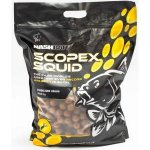 Kevin Nash Scopex Squid Stabilised Boilies 5kg 24mm – Zbozi.Blesk.cz