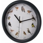 Segnale KO-837165370 – Sleviste.cz